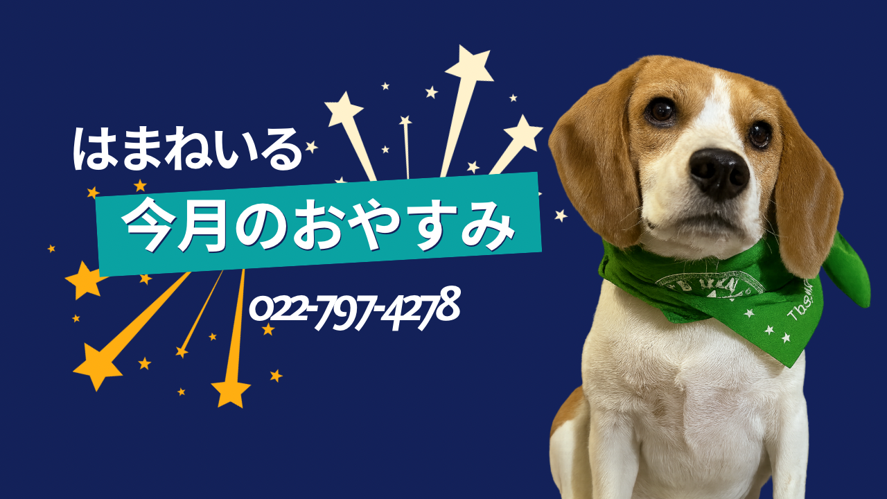 8月のおやすみ